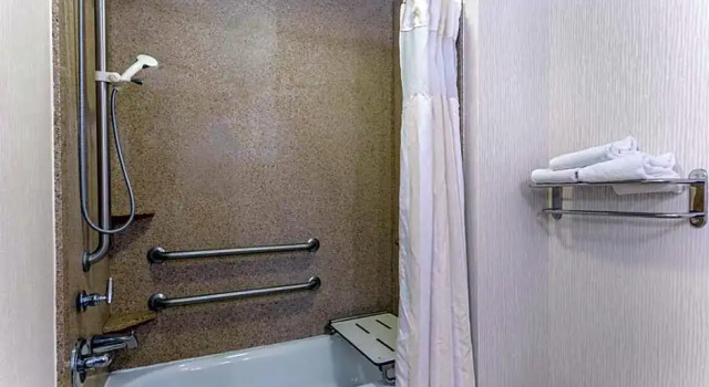 Двухместный номер Mobility/Hearing Accessible with Bathtub Hilton Garden Inn Indianapolis Downtown