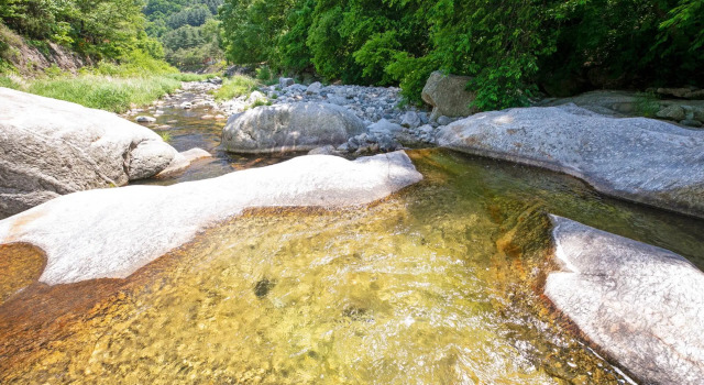Gapyeong Cheotnooneh Pension