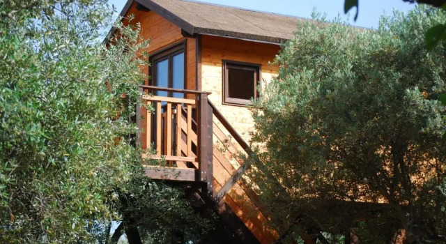 Бунгало Superior Palazzo Conforti Tree House Resort