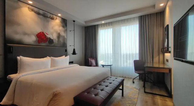 Двухместный номер Superior Radisson Red Chandigarh Mohali