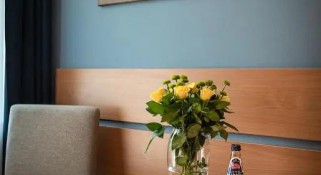 Двухместный номер Standard с балконом Hotel Nawigator Szczawnica