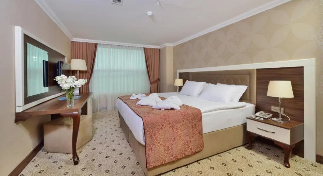 Двухместный номер Standard ‪The Sign Kocaeli Thermal SPA Hotel & Convention Center‬