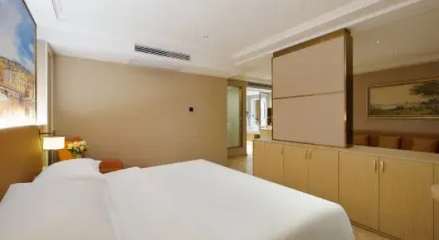 Люкс Deluxe Vienna Hotel (Anqing Gountry Garden Wanda Plaza Hotel）)