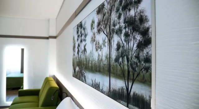 Одноместный полулюкс Executive Bonotto Hotel Palladio