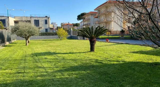 I fiori di Pietra 2