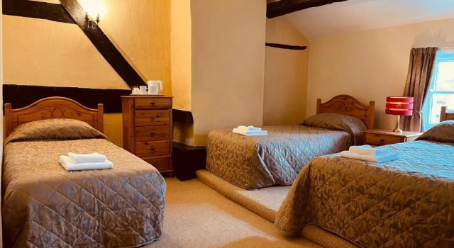 Четырёхместный номер Standard Cain Valley Hotel