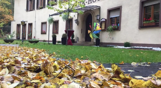 Одноместный номер Economy Parkhotel Zirndorf