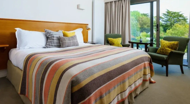 Superior cameră cu balcon Hotel Meudon