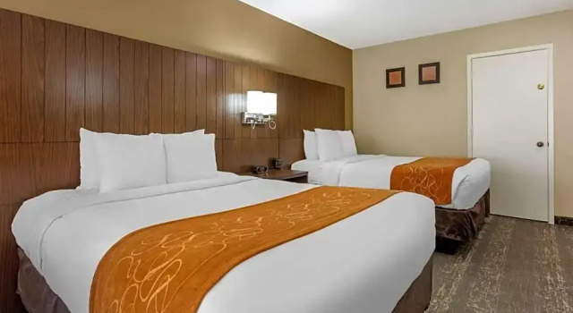 Люкс Standard Comfort Suites Tucson near Sabino Canyon