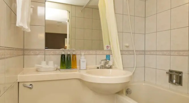 Двухместный номер Deluxe Smile Hotel Shizuoka
