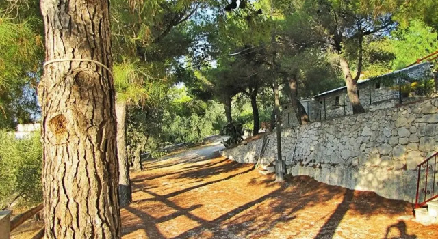 Residence Mattinatella