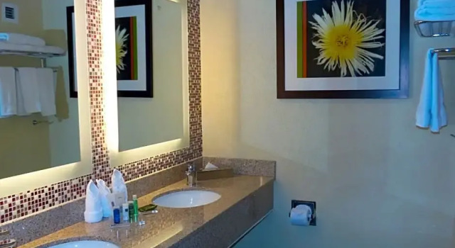 Double Suite Radisson Aquatica Resort Barbados