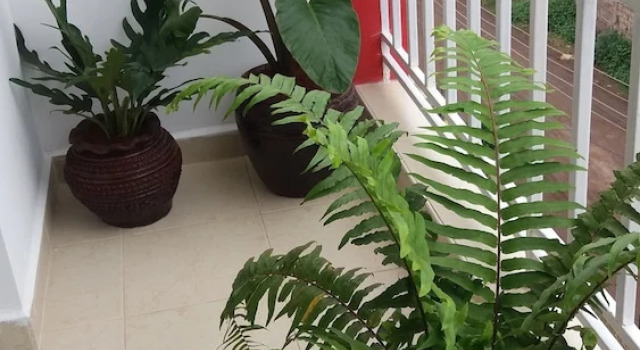 Apartman Tawala Homes