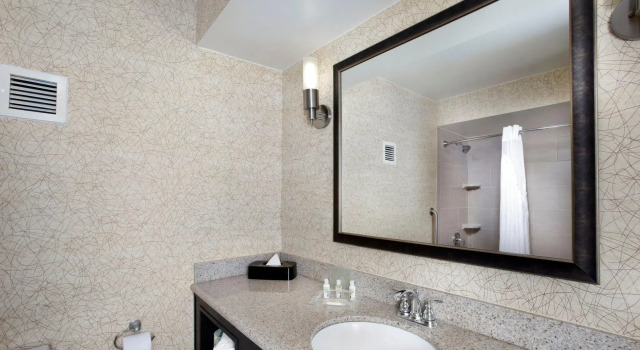 Номер Standard Holiday Inn Johnson City by IHG