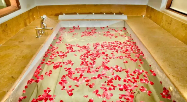Люкс Abhyaran Resort & Spa Ranthambore