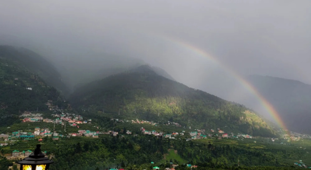 Люкс Bd Resort