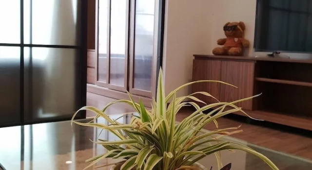Апартаменты Min Apartment