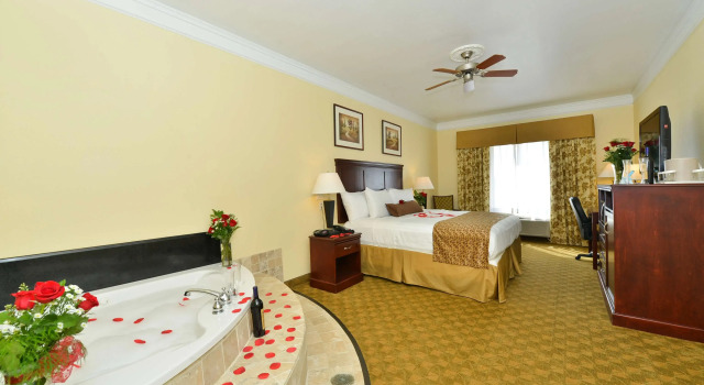 Двухместный люкс Best Western Lone Star Inn