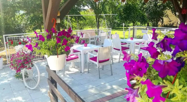 Номер Standard Maslina Rooms