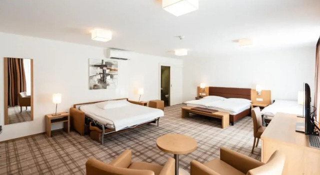 Номер Standard Central City Hotel Rochat