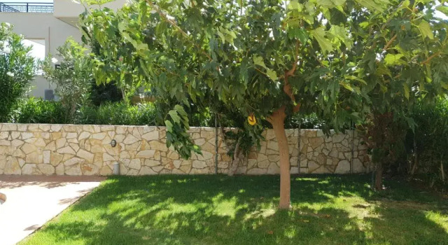 Selini Villas with private pool 10 minutes walking from the beach