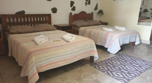 Номер Standard TipTop Hotel, Resto and Delishop