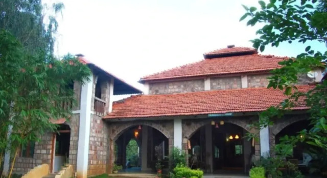 Номер Standard Mogli Jungle Resort