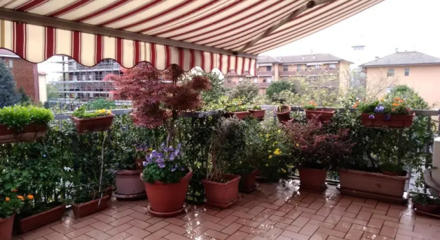 Апартаменты Appartamento con terrazzo a Gorgonzola