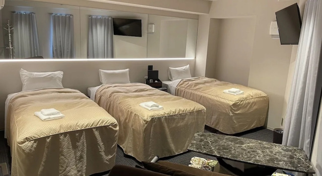 Номер Deluxe Hotel Wisteria Nara