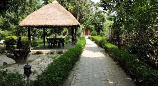 Jungle Heaven Hotel and Cottage