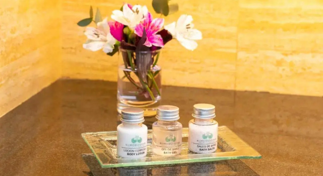 Люкс Eurobuilding Hotel Boutique Buenos Aires