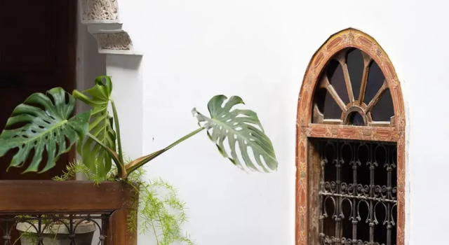 Riad 9 Fez