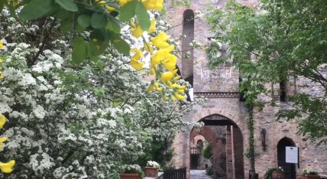 Люкс Torre del Barbagianni - Castello di Gropparello