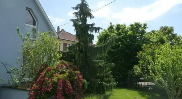 Holiday Home A Travers Les Vignes, Book Apartment Wintzenheim Alsace