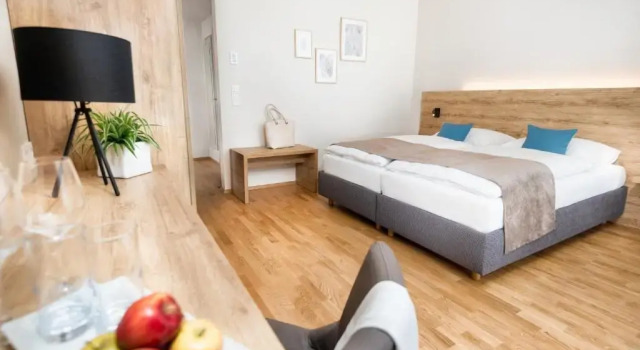 Трёхместный номер Deluxe JUFA Hotel Neutal