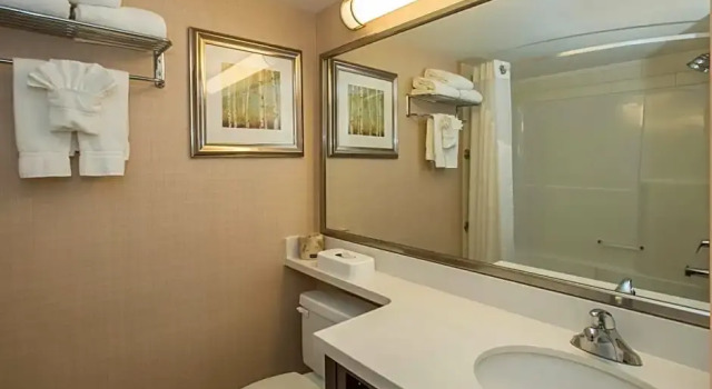 Run of House Holiday Inn Conference Centre Edmonton South by IHG