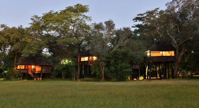Suite Ivory Lodge