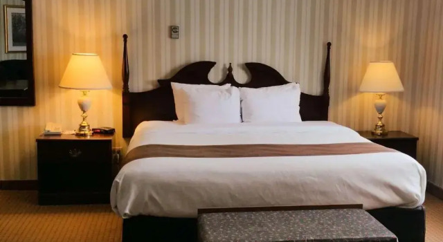 Номер Standard Quality Hotel & Suites