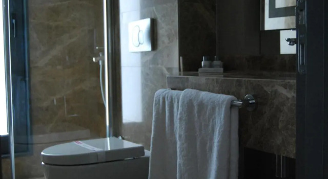 Двухместный номер Standard Hann Hotel