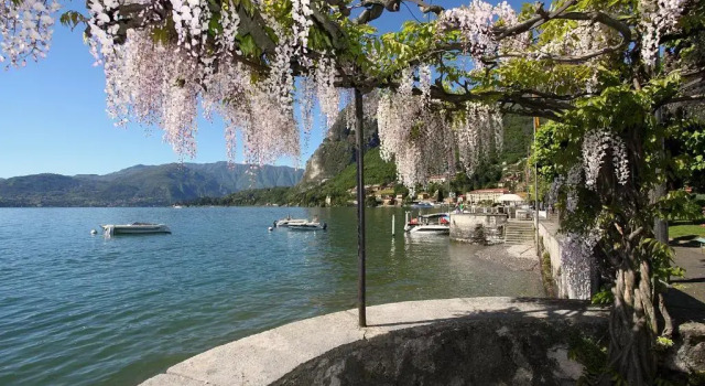 Apartment mit Seeblick Menaggio Royale