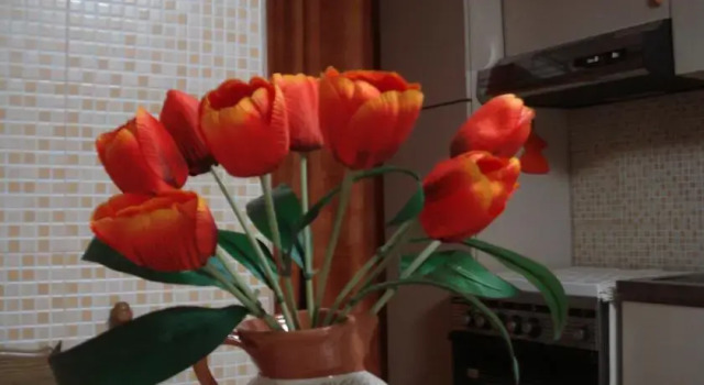 Orange House, Buchen Sie Ferienwohnung Plebiscito Neapel
