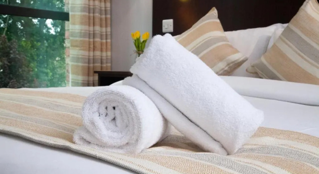 Двухместный номер Deluxe London City Airport Hotel