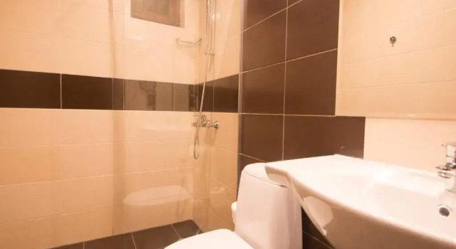Номер Standard Park Hotel Asenevtsi