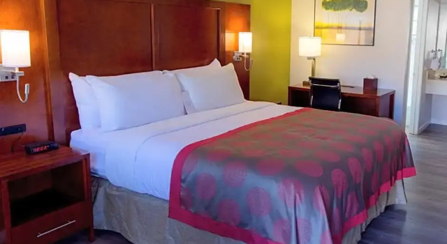 Двухместный номер Standard Needham House Hotel