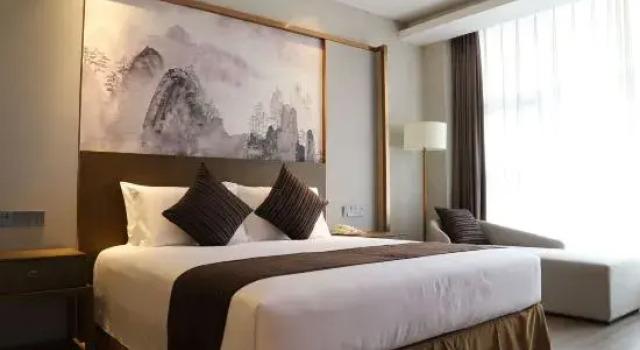 Двухместный люкс Business Vienna International Hotel(Wuhan Mengjiapu Stor)