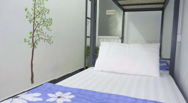 Daisy Hostel