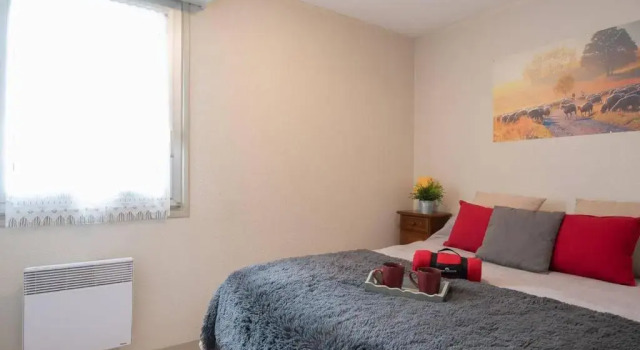 Appartement Saint-Lary-Soulan, 2 pièces, 4 personnes - FR-1-296-138