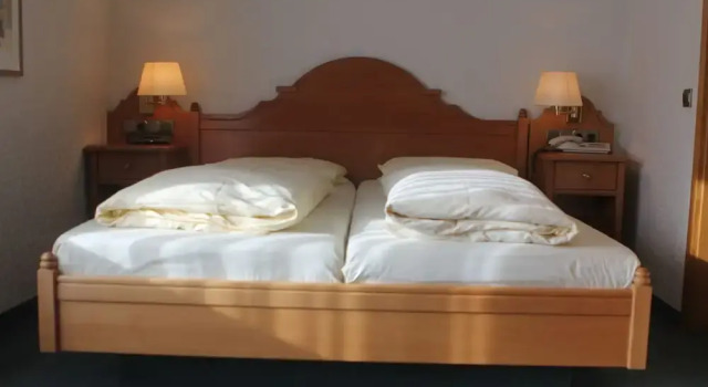 Двухместный номер Standard Pohl's Rheinhotel Adler