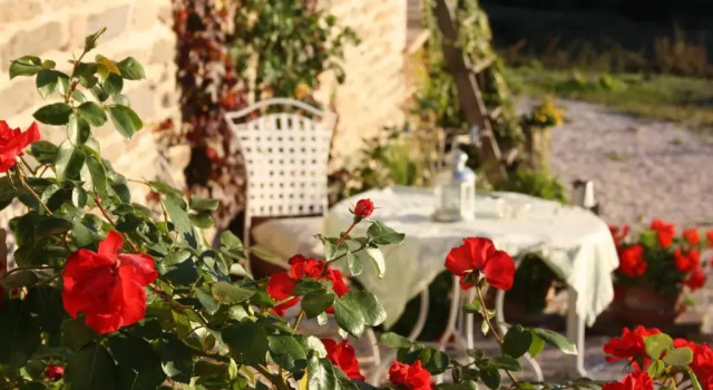 Camera doppia Standard B&B La Pace