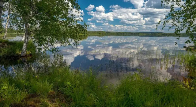Полулюкс Guest House Puukarin Pysäkki